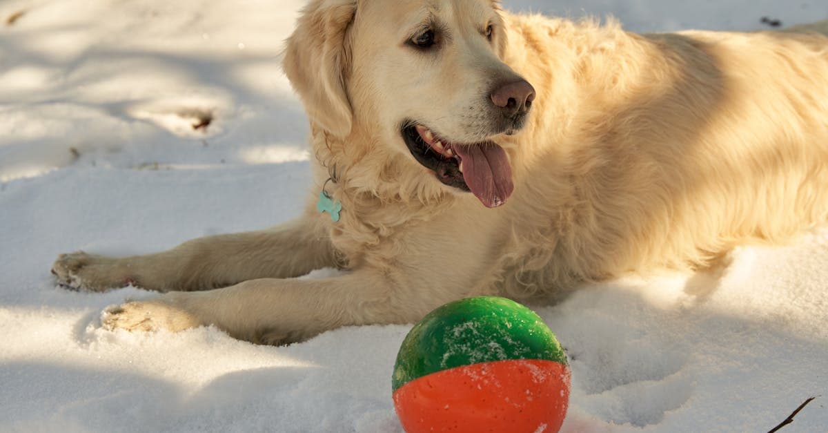 ผลหวยฮานอย วันนี้ล่าสุด ครบทุกรอบ VIP พิเศษ ปกติ | VietNow แทงหวย